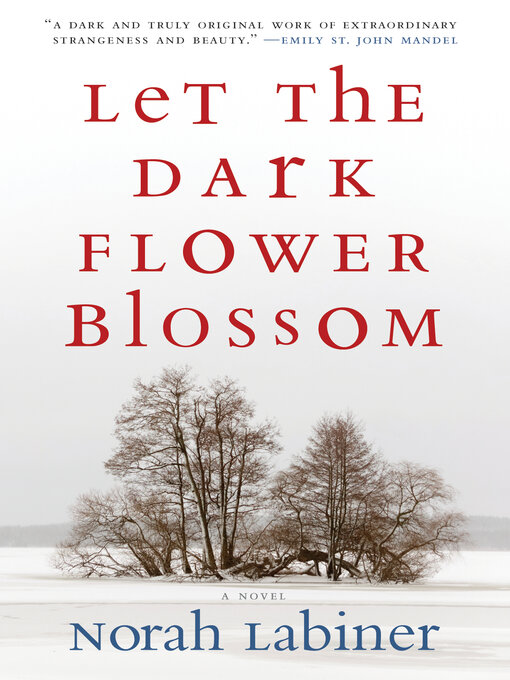 Title details for Let the Dark Flower Blossom: a Novel by Norah Labiner - Available